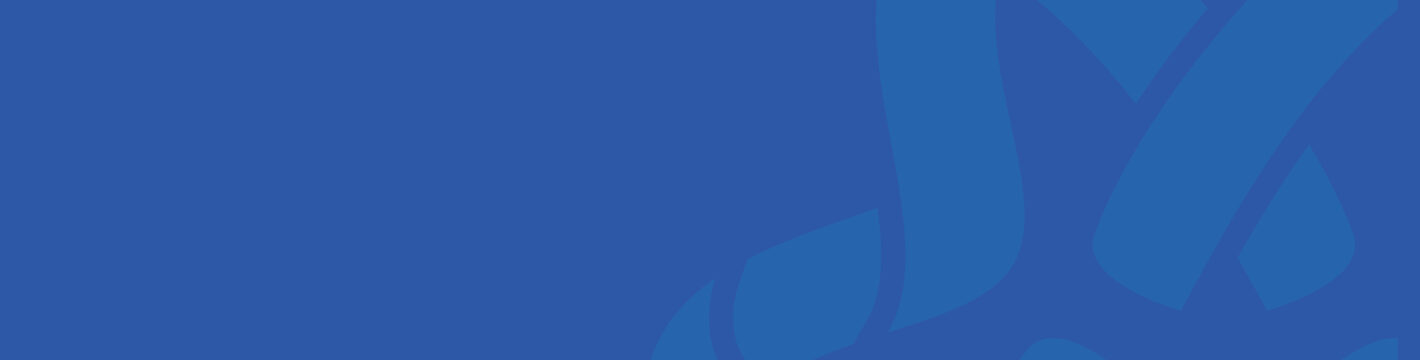 DOME Marketplace Celebrates One Year - DOME Cover