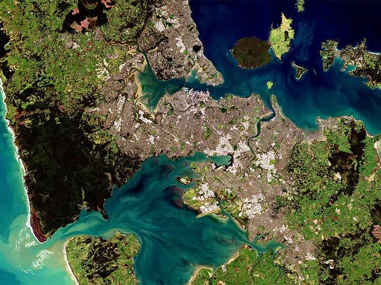 Contest 2025 - 6061023 auckland