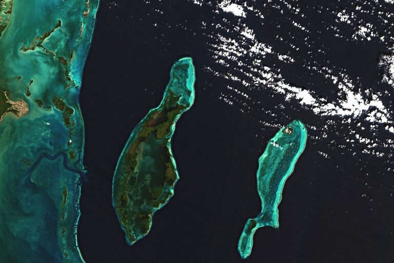 Sektor kosmiczny - Contest 2024 A frigile paradise 1200